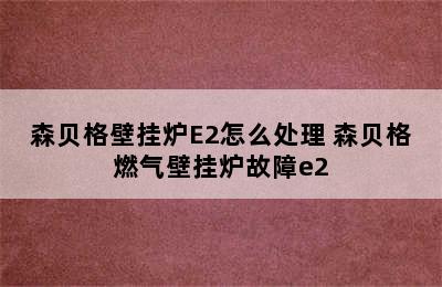 森贝格壁挂炉E2怎么处理 森贝格燃气壁挂炉故障e2